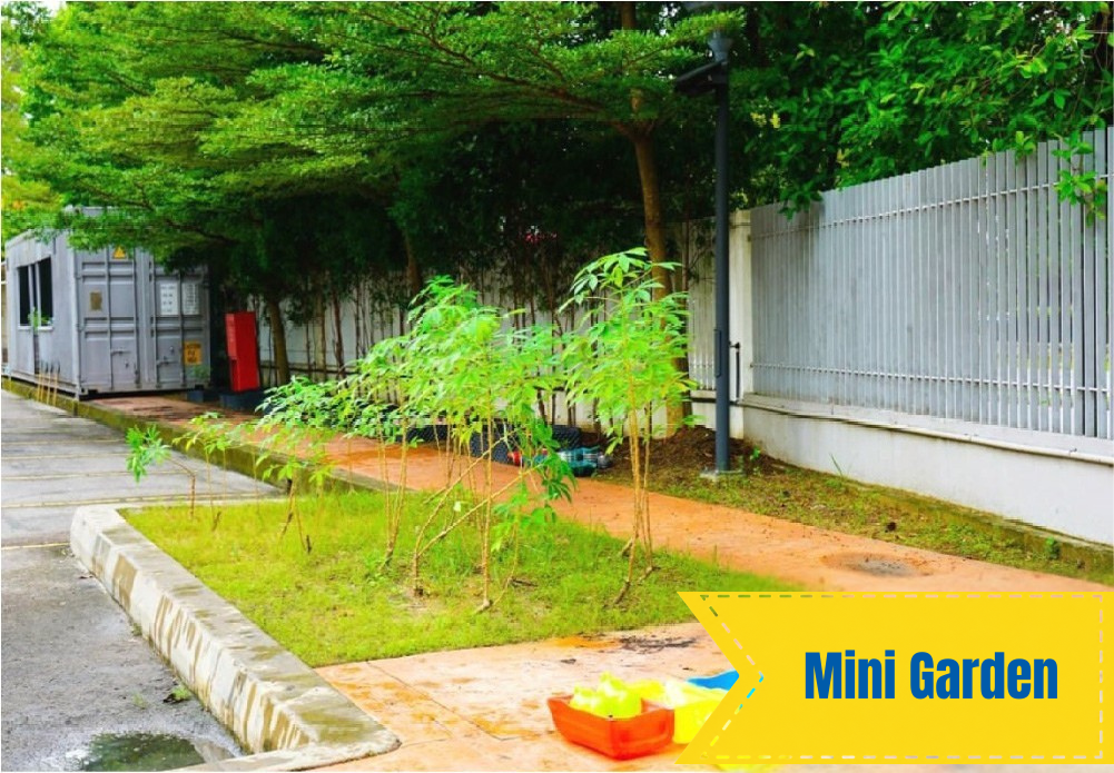 mini garden